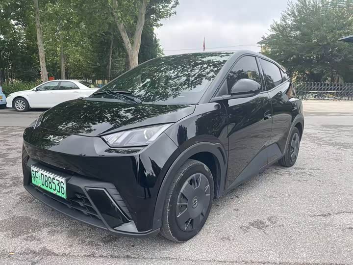 Фото 1 - BYD Seagull