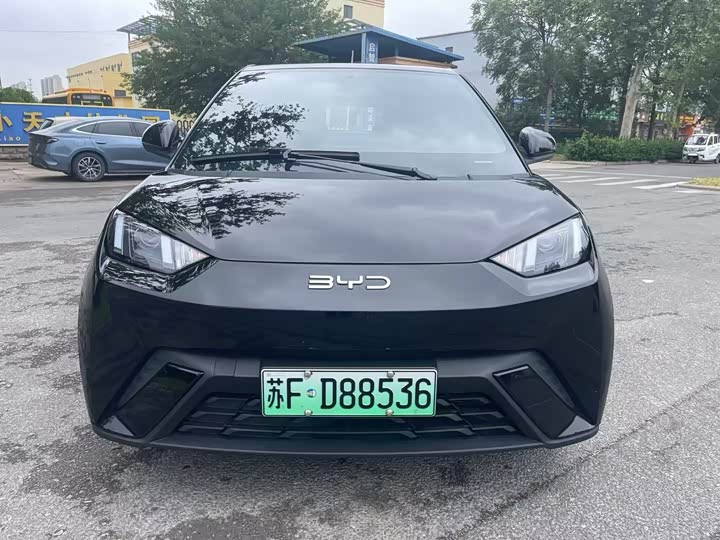 Фото 2 - BYD Seagull
