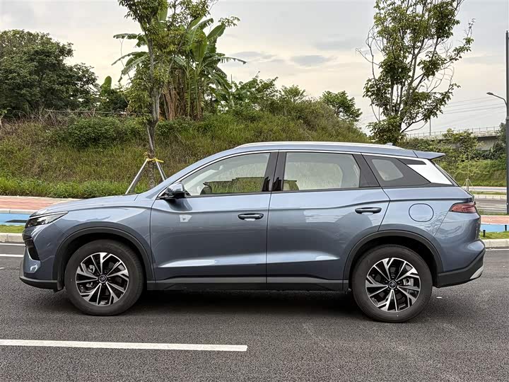 BYD Song Pro Hybrid 2025 2025款 第二代 DM-i 115KM超越型