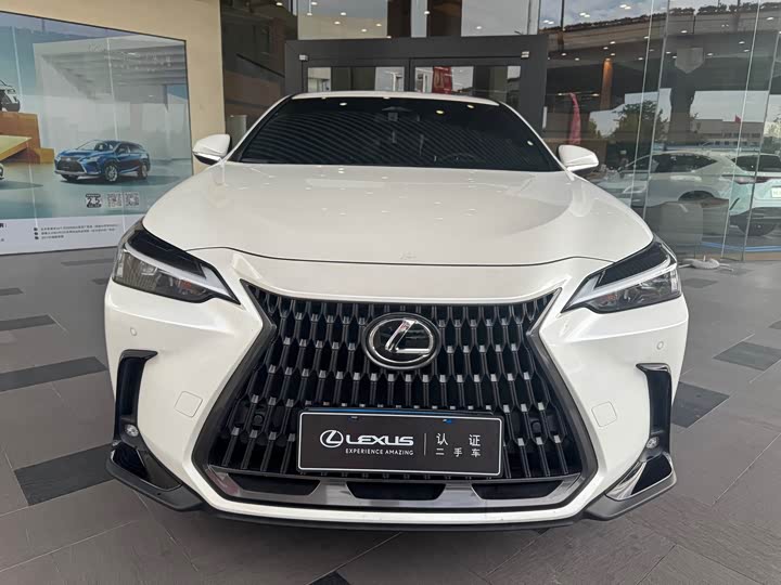 Lexus NX 2024 2024款 350h 前驱 创悦版
