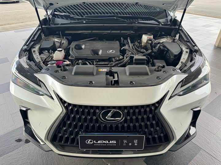 Lexus NX 2024 2024款 350h 前驱 创悦版