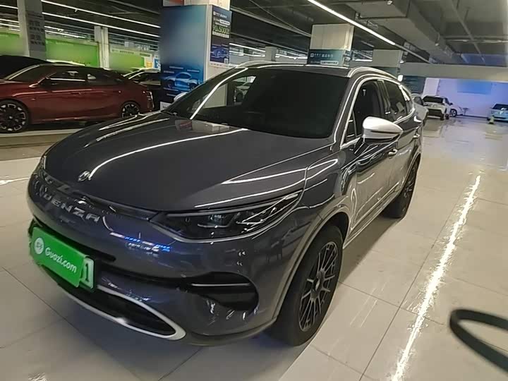 2020 Denza X