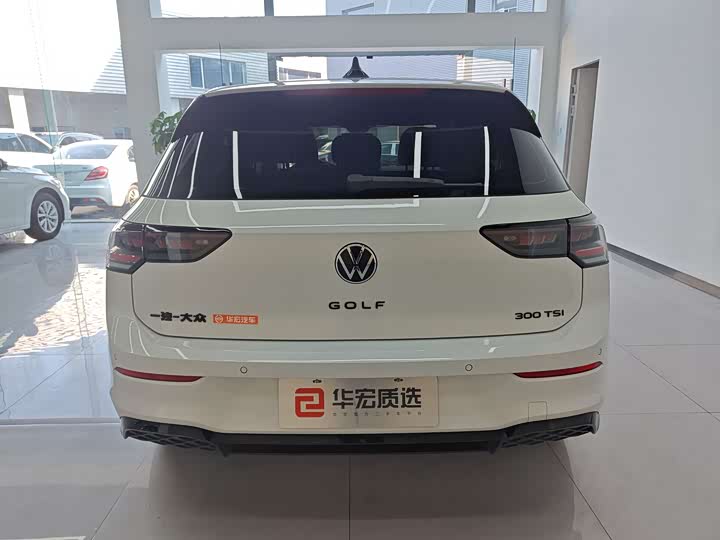 Volkswagen Golf 2025 2025款 300TSI R-Line