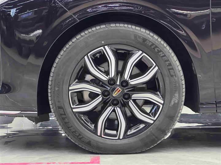 Hongqi HQ9 2023 2023款 2.0T 智联旗享版