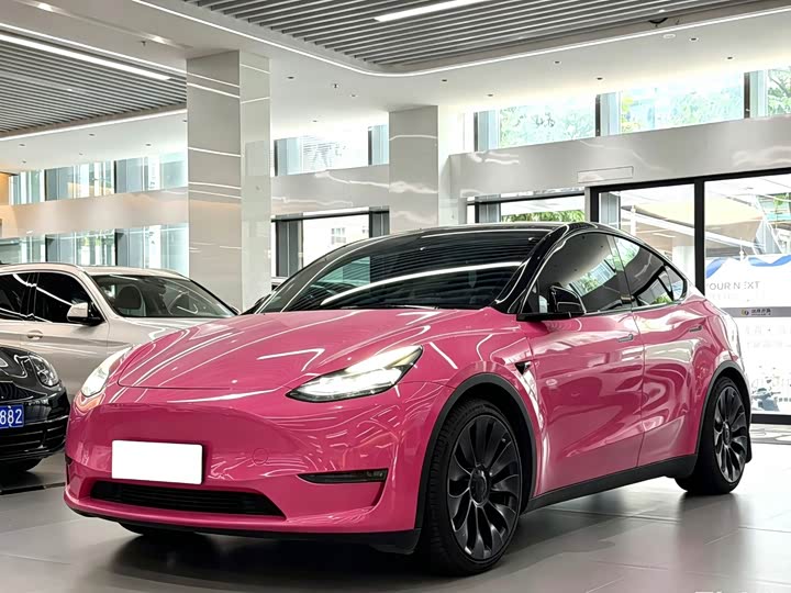 Tesla Model Y 2022 2022款 Performance高性能全轮驱动版
