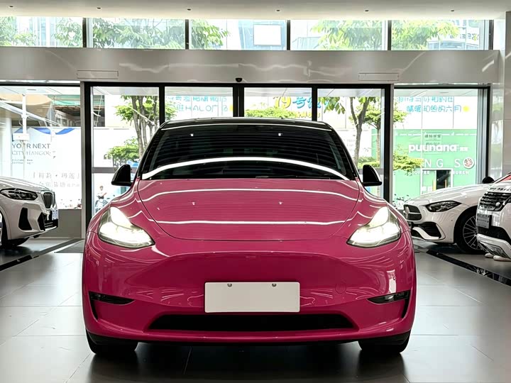 Tesla Model Y 2022 2022款 Performance高性能全轮驱动版