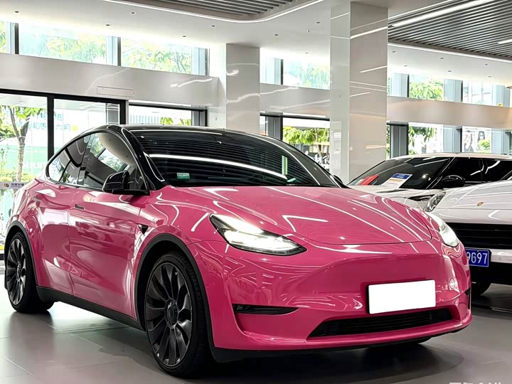 Tesla Model Y 2022 2022款 Performance高性能全轮驱动版