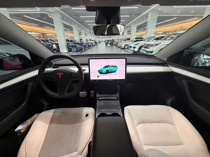 Tesla Model Y 2022 2022款 Performance高性能全轮驱动版