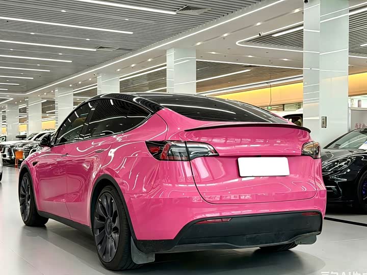 Tesla Model Y 2022 2022款 Performance高性能全轮驱动版