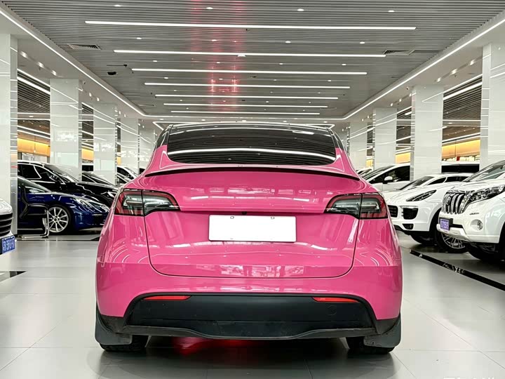 Tesla Model Y 2022 2022款 Performance高性能全轮驱动版