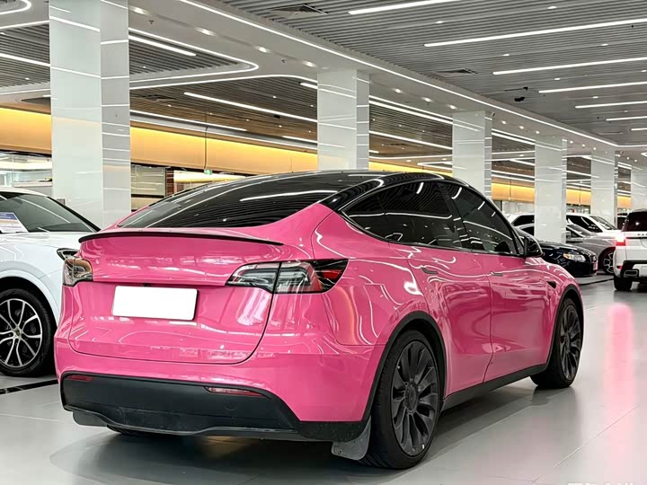 Tesla Model Y 2022 2022款 Performance高性能全轮驱动版