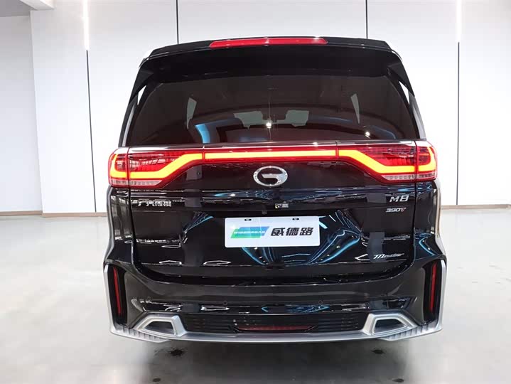 GAC Trumpchi M8 2021 2021款 大师系列 390T 至尊版
