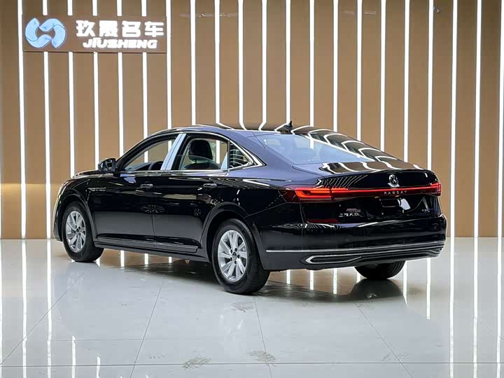 Volkswagen Passat Hybrid 2025 2025款 430PHEV 混动商务版