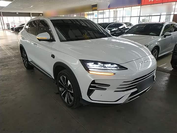 Zdjęcie 4 - BYD Song Plus Hybrid/EV