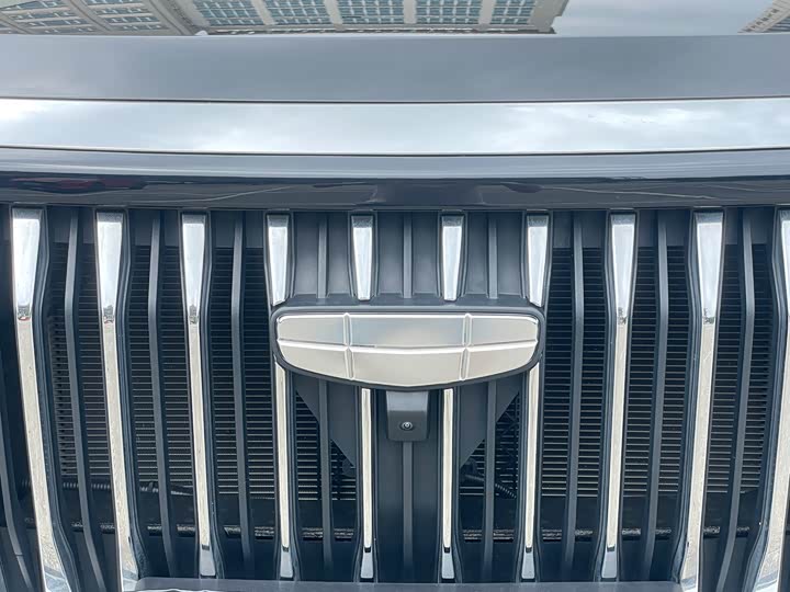 Geely Okavango L 2024 2024款 2.0T DCT旗舰型