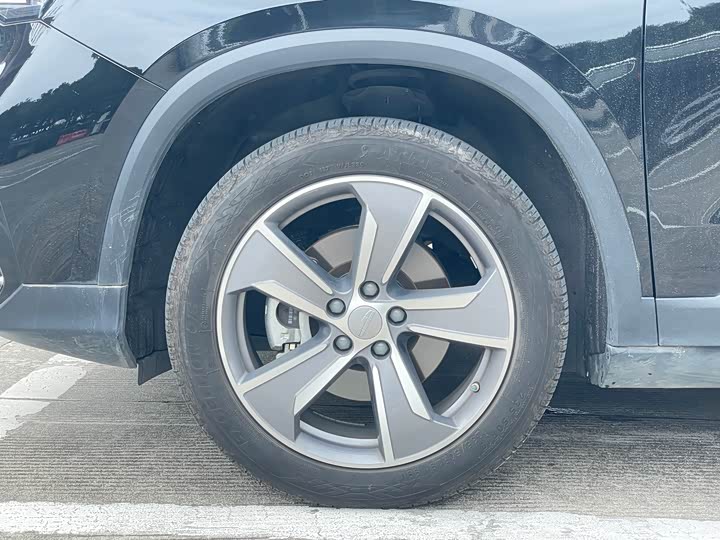 Geely Okavango L 2024 2024款 2.0T DCT旗舰型