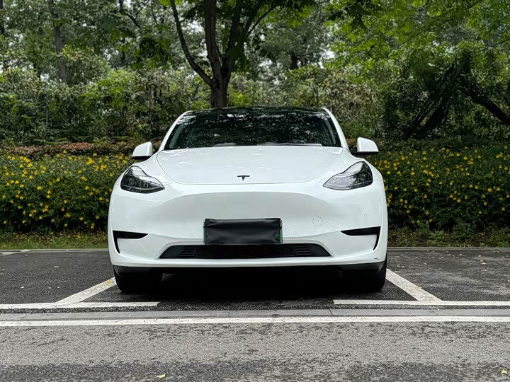 Tesla Model Y 2022 2022款 后轮驱动版
