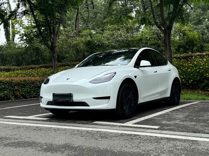 Tesla Model Y 2022 2022款 后轮驱动版