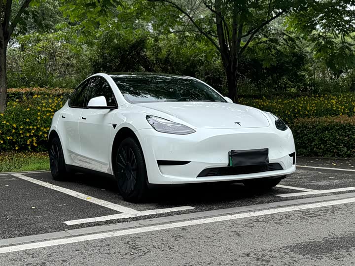 Tesla Model Y 2022 2022款 后轮驱动版
