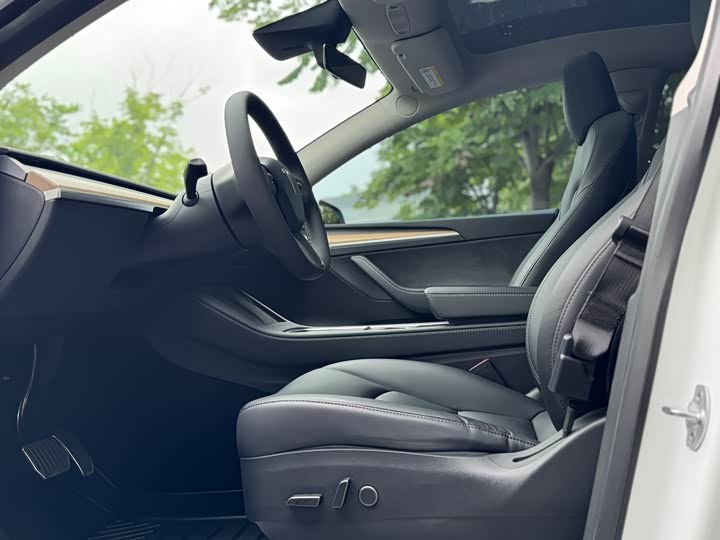 Tesla Model Y 2022 2022款 后轮驱动版