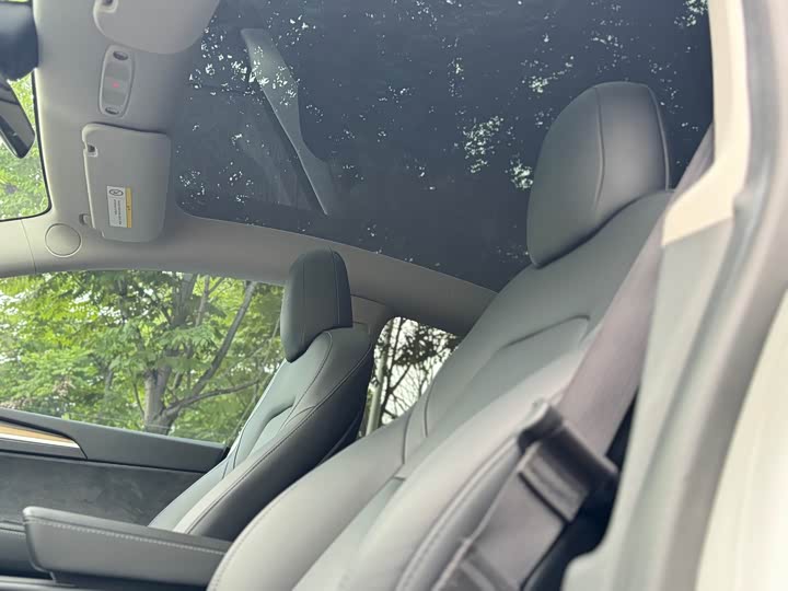 Tesla Model Y 2022 2022款 后轮驱动版