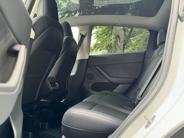 Tesla Model Y 2022 2022款 后轮驱动版