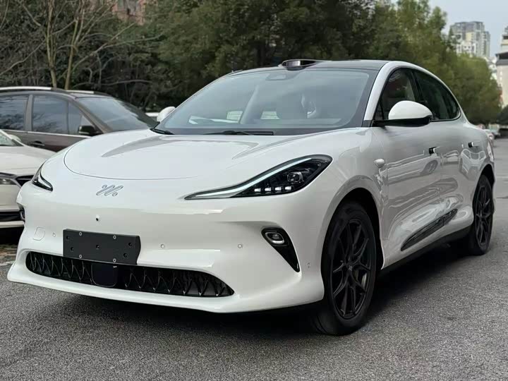 Photo 1 - IM motors LS6