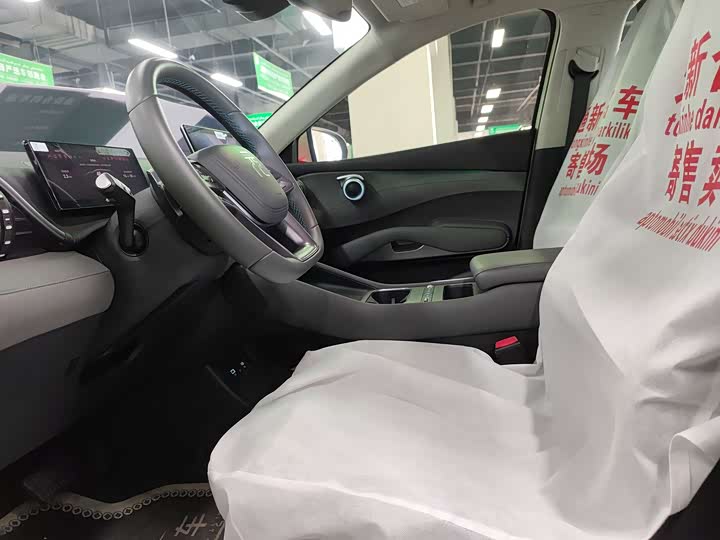 BYD Yuan Plus 2025 2025款 智驾版 510KM 超越型