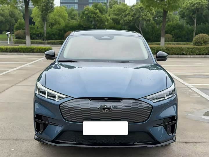 Ford Mustang Mach-E 2021 2021款 无疆后驱豪华版(长续航)