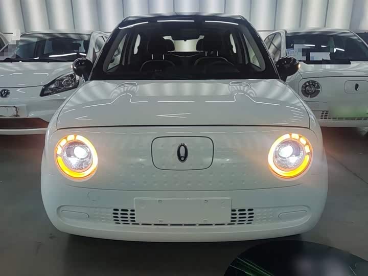 Ora Black Cat 2022 2022款 351km 舒享型 三元锂