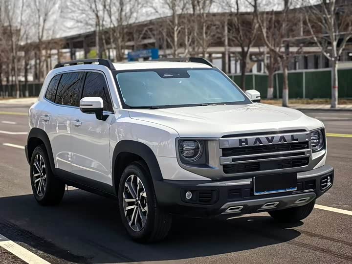 صورة 1 - Haval Dargo