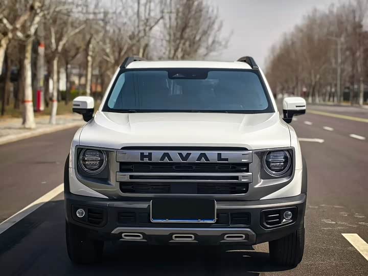 صورة 2 - Haval Dargo