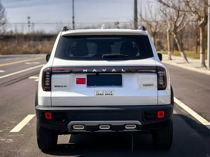 صورة 5 - Haval Dargo