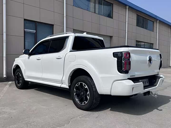2023 Great Wall Shanhai Poer