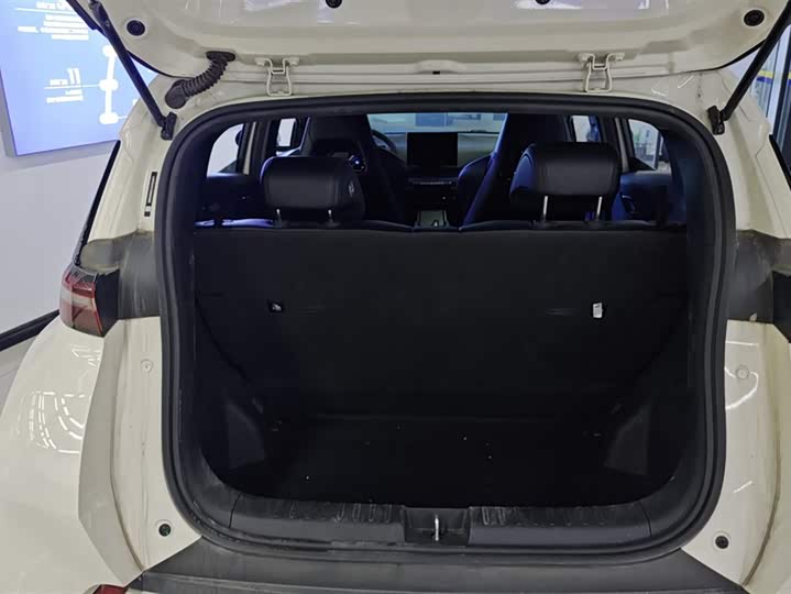 BYD Seagull 2025 2025款 305km 活力版