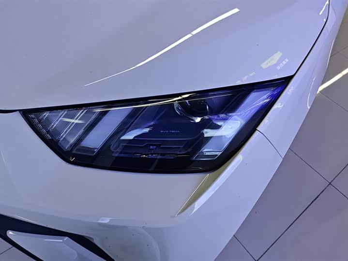 BYD Seagull 2025 2025款 305km 活力版