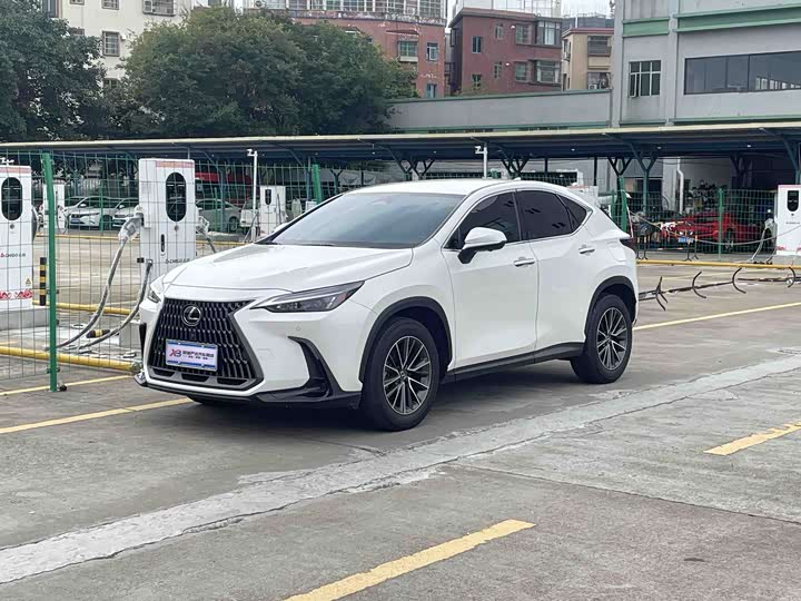 Lexus NX 2024 2024款 260 前驱 创驰版