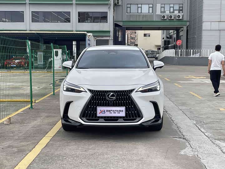 Lexus NX 2024 2024款 260 前驱 创驰版