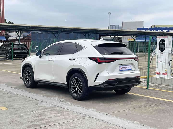Lexus NX 2024 2024款 260 前驱 创驰版
