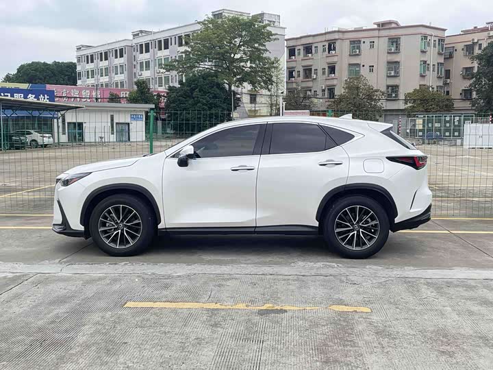 Lexus NX 2024 2024款 260 前驱 创驰版