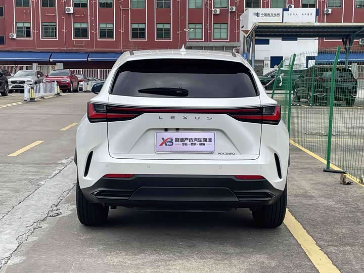 Lexus NX 2024 2024款 260 前驱 创驰版
