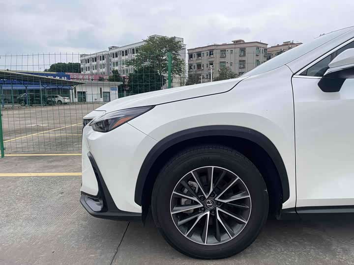 Lexus NX 2024 2024款 260 前驱 创驰版