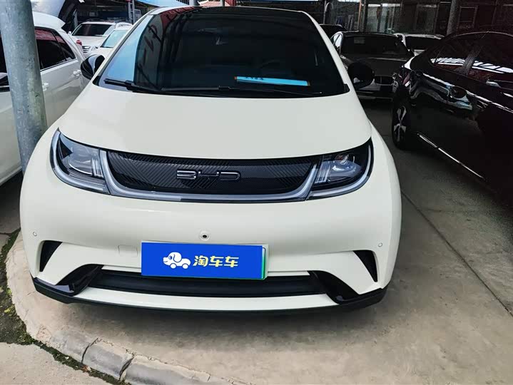 Фото 2 - BYD Dolphin