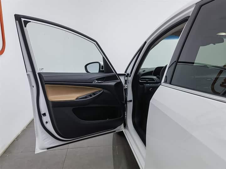 Фото 8 - Buick GL6