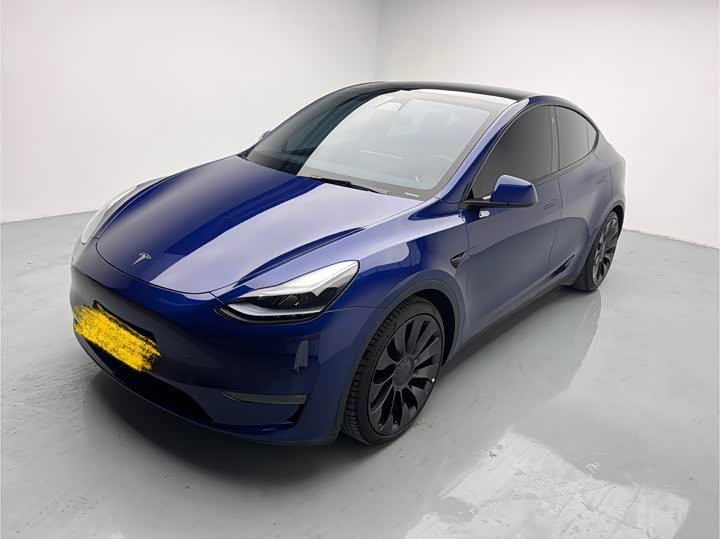 Tesla Model Y 2022 2022款 Performance高性能全轮驱动版