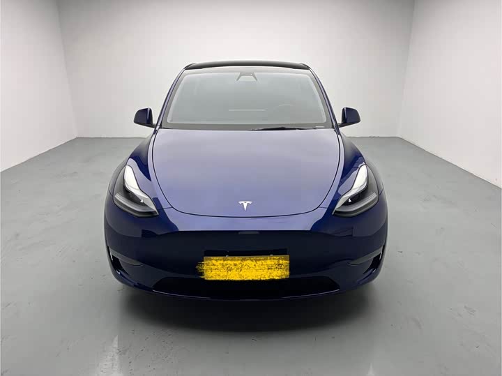 Tesla Model Y 2022 2022款 Performance高性能全轮驱动版