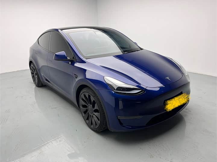 Tesla Model Y 2022 2022款 Performance高性能全轮驱动版