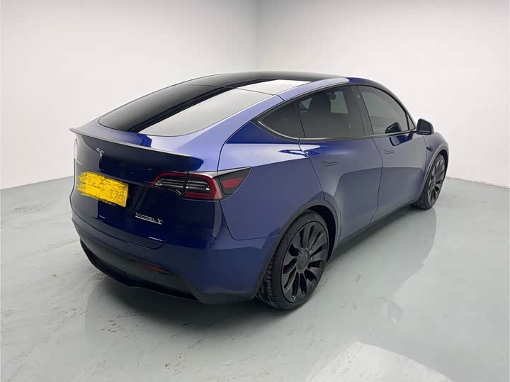Tesla Model Y 2022 2022款 Performance高性能全轮驱动版