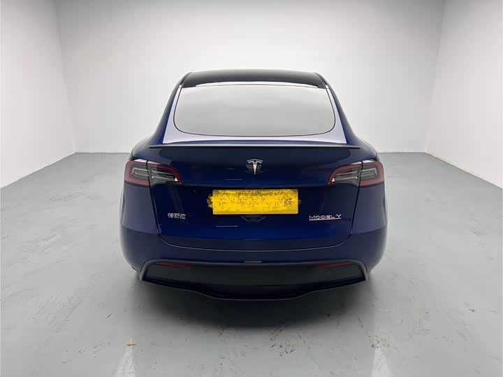Tesla Model Y 2022 2022款 Performance高性能全轮驱动版