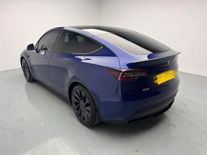 Tesla Model Y 2022 2022款 Performance高性能全轮驱动版